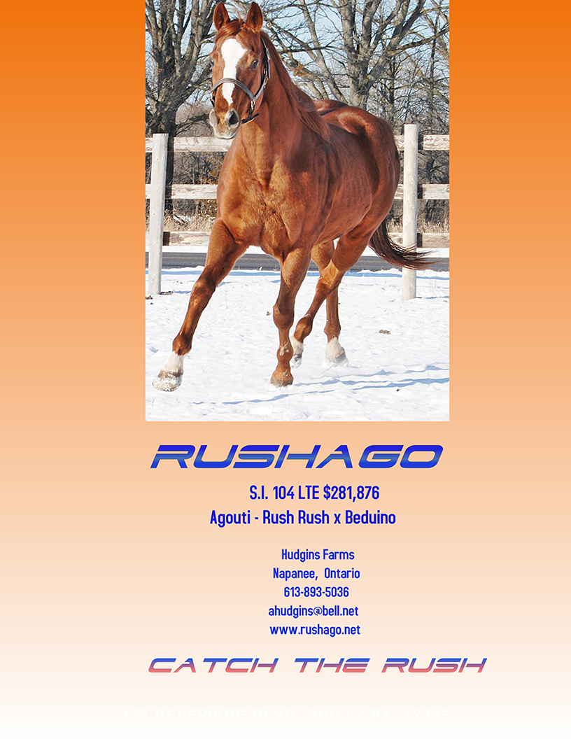 Rushago Stallion Ad 2020