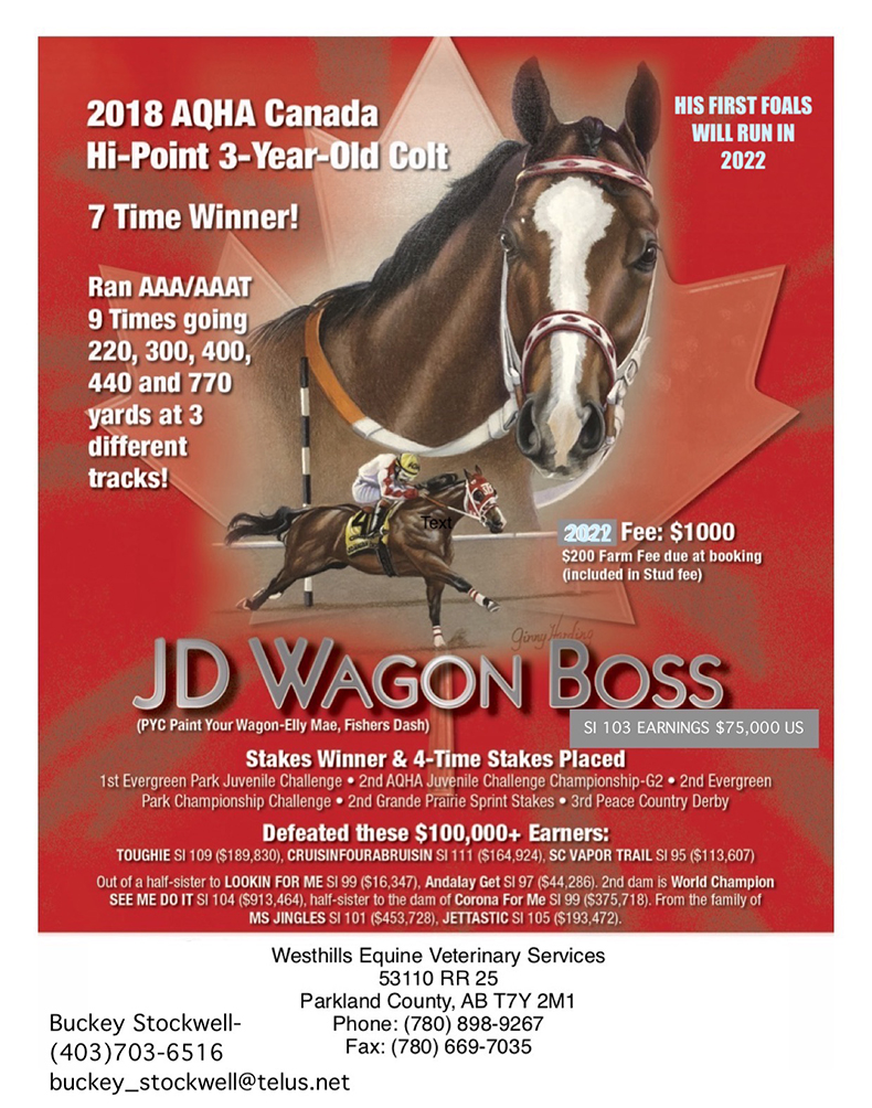 Stallion ad for JD Wagon Boss 2022