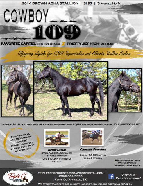 Cowboy 109 Stallion